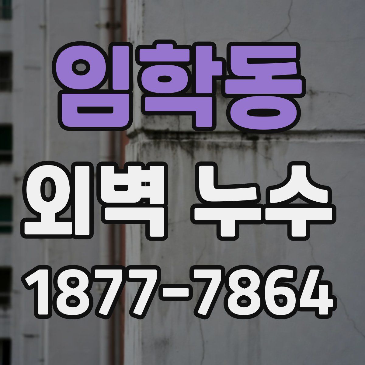 임학동 외벽 누수
