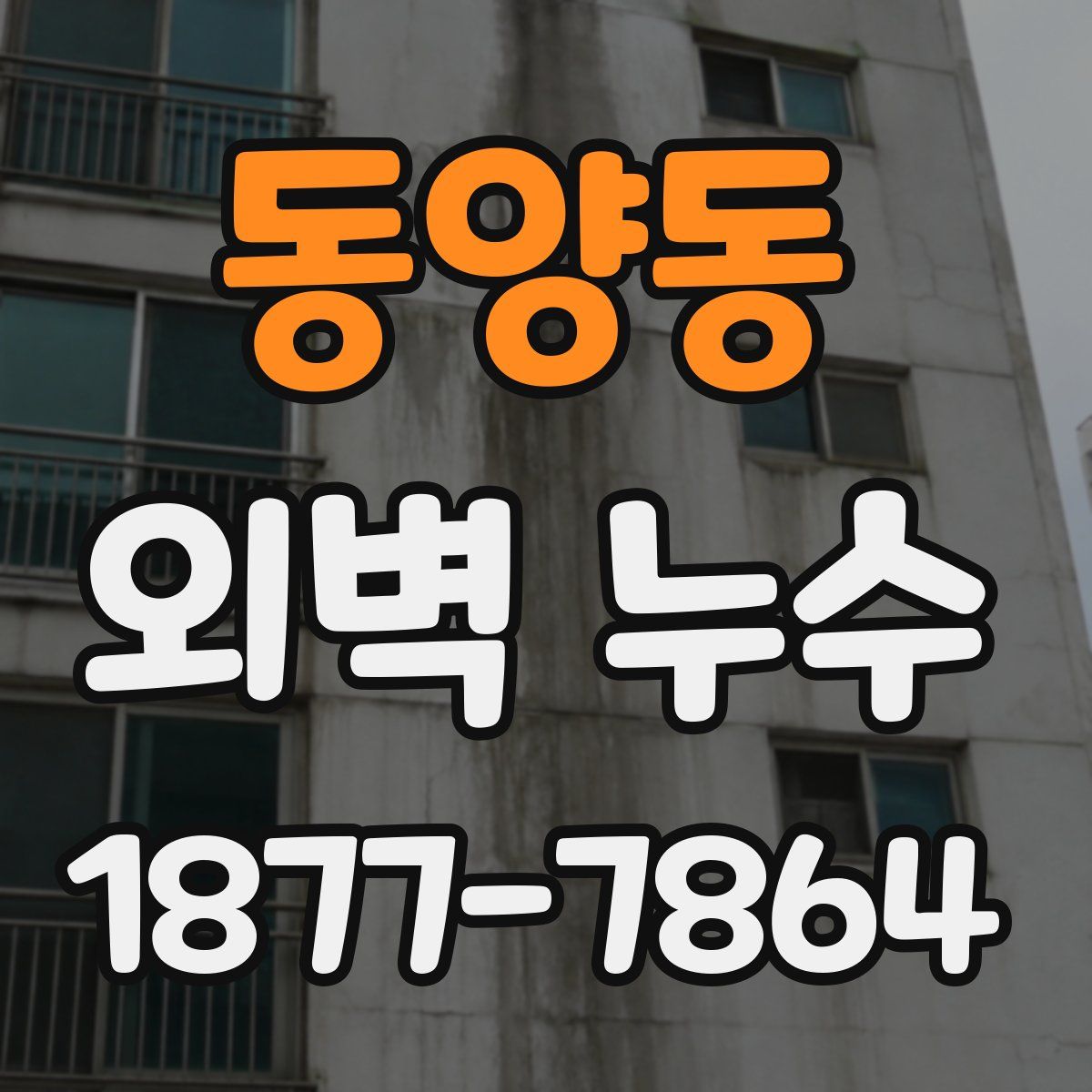 동양동 외벽 누수