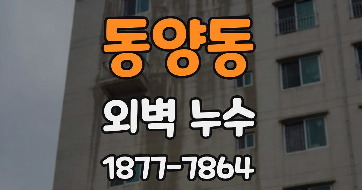 동양동 외벽 누수