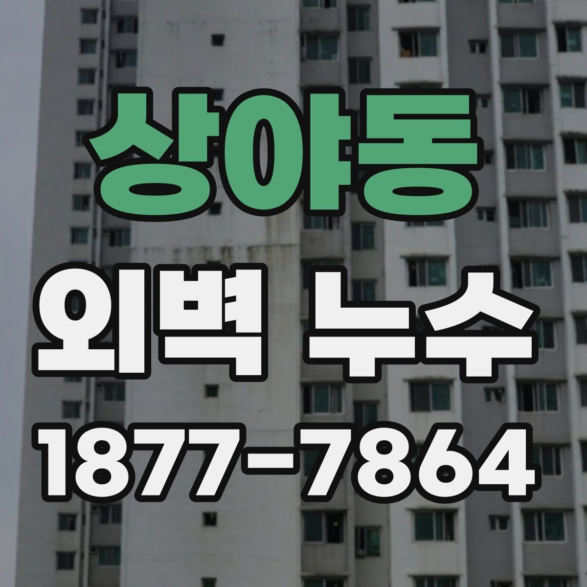 상야동 외벽 누수 점검 결과를 바탕으로 한 선택