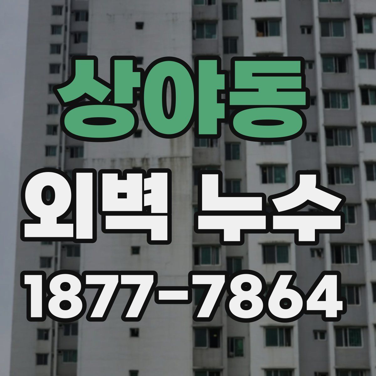 상야동 외벽 누수