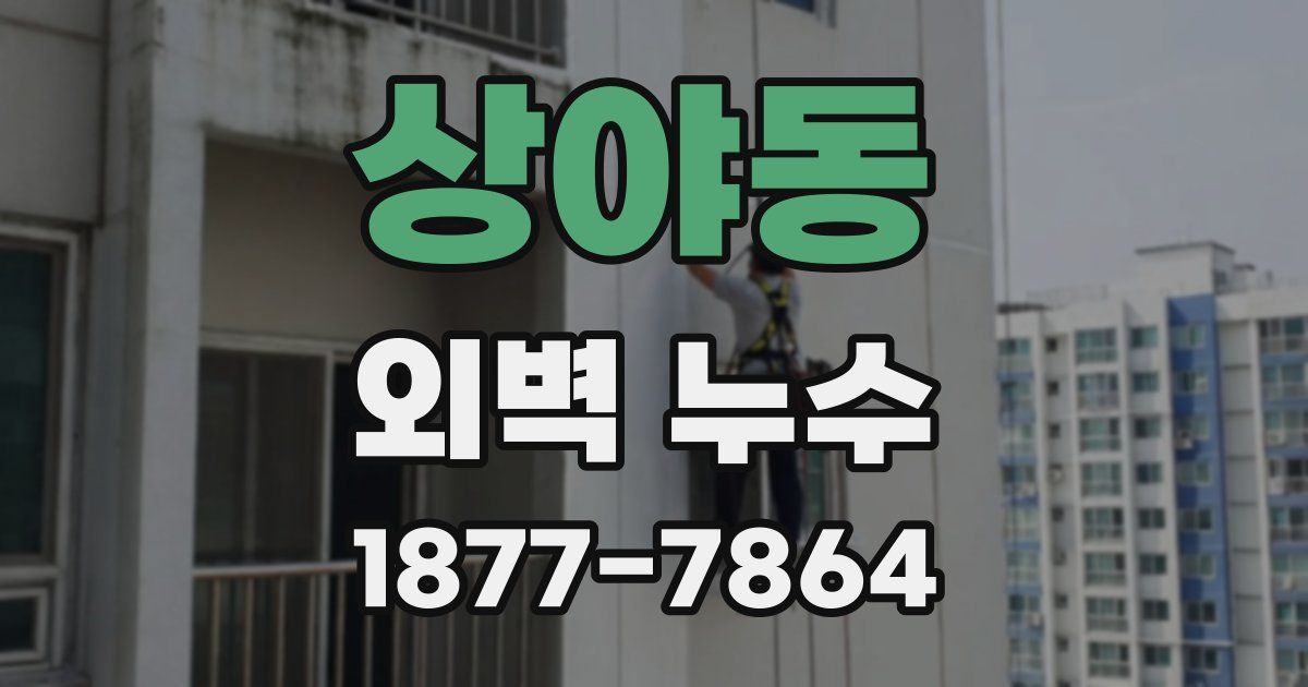 상야동 외벽 누수