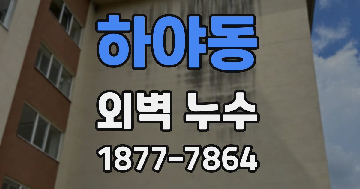 하야동 외벽 누수
