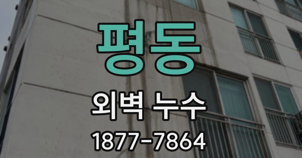 평동 외벽 누수