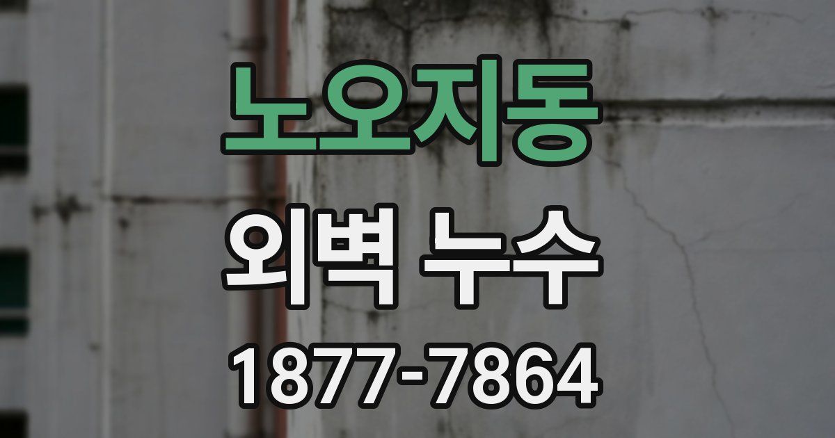 노오지동 외벽 누수