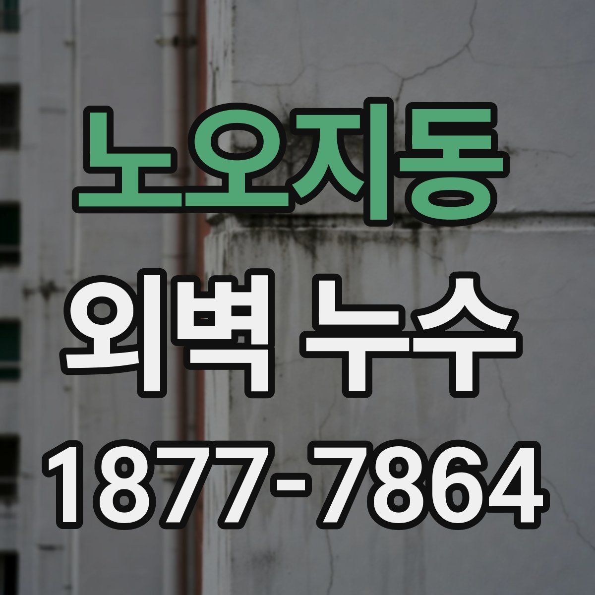 노오지동 외벽 누수