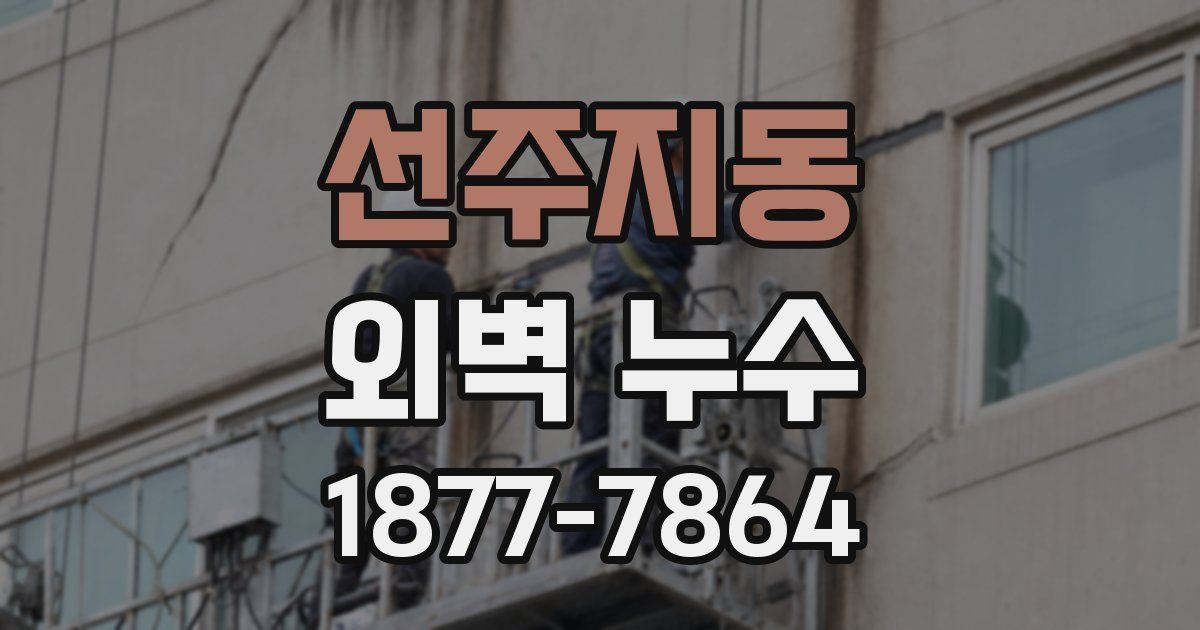 선주지동 외벽 누수
