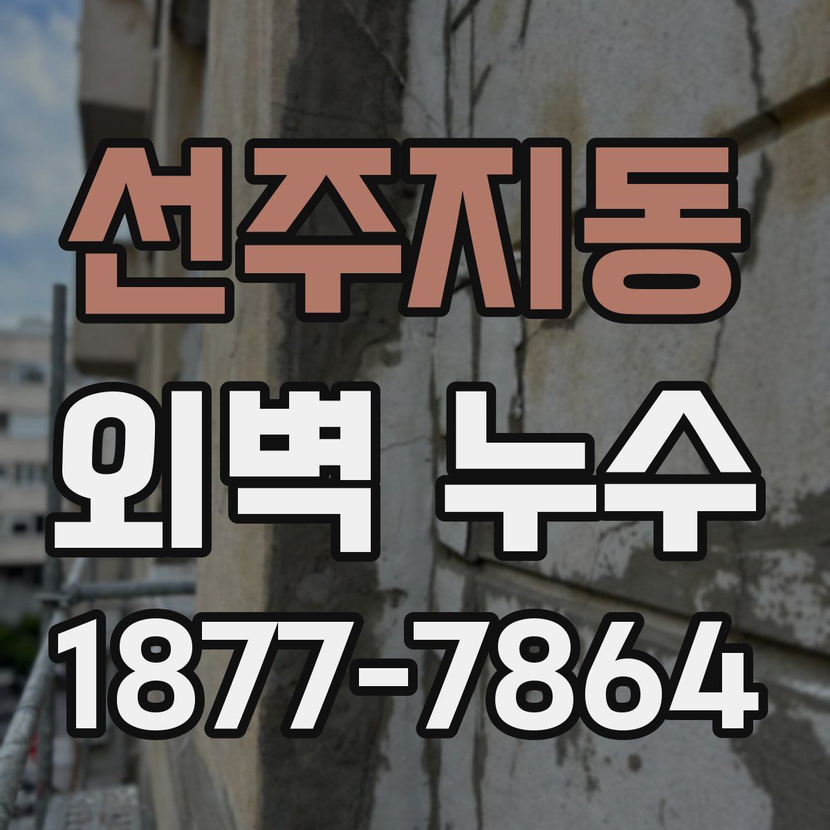 선주지동 외벽 누수