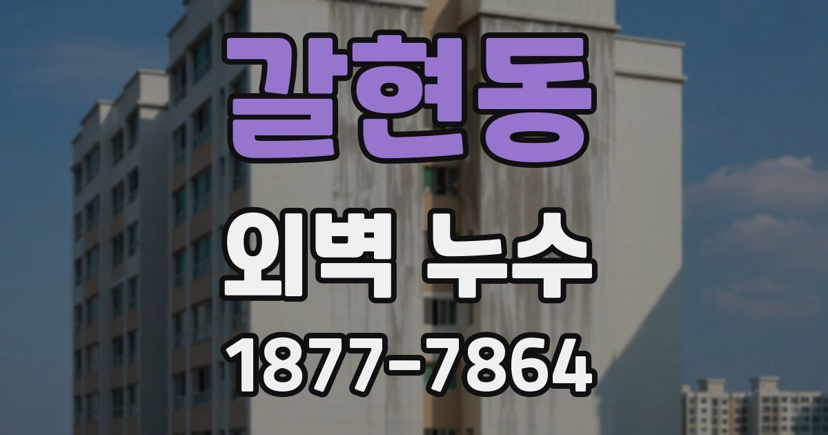 갈현동 외벽 누수