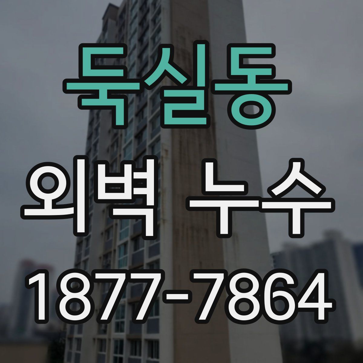 둑실동 외벽 누수