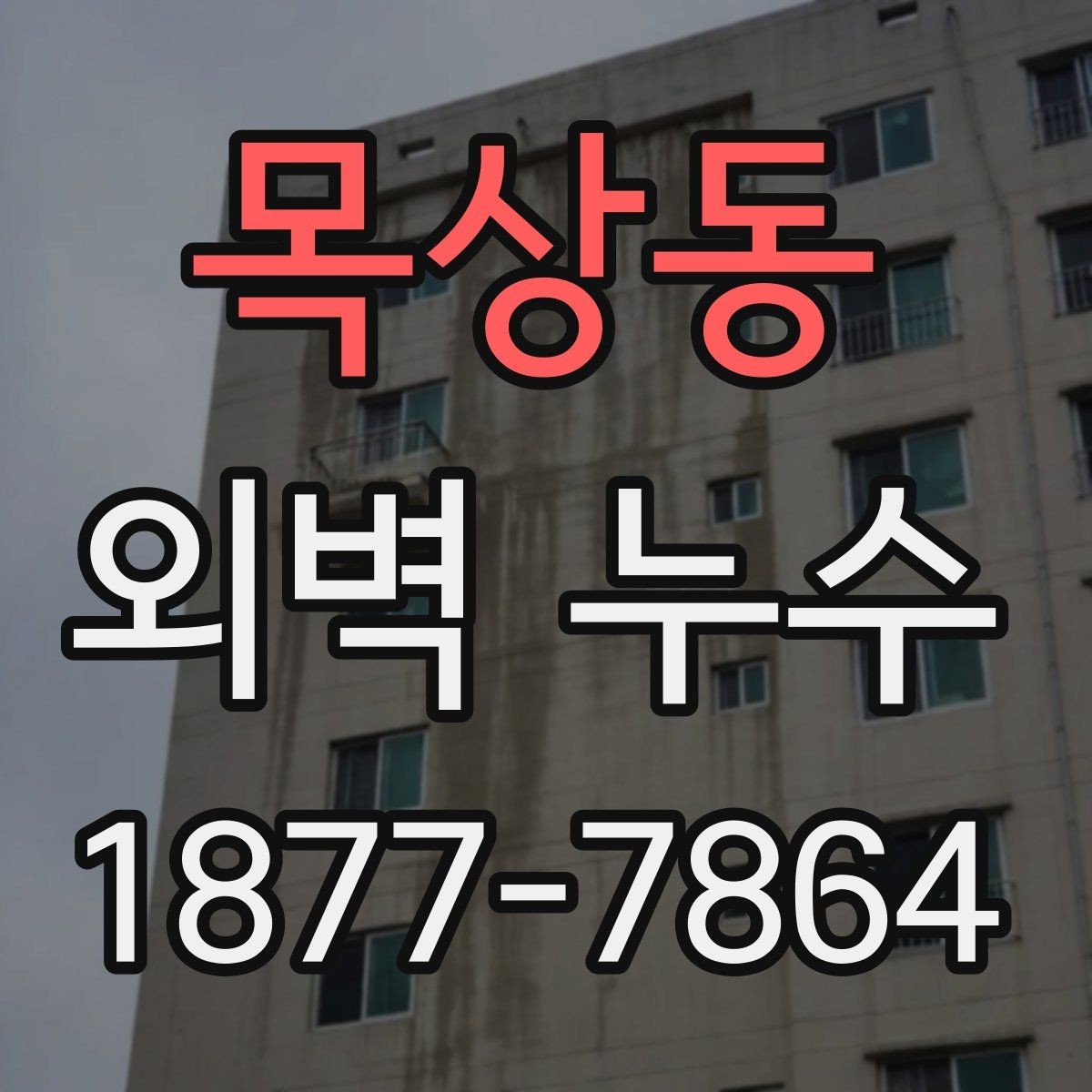 목상동 외벽 누수 확인 후 보수 범위를 정하는 기준