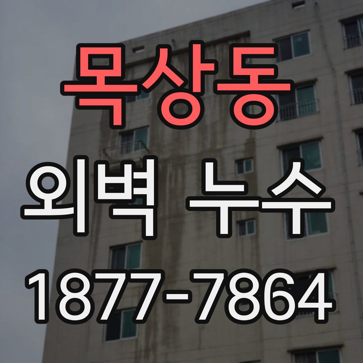 목상동 외벽 누수