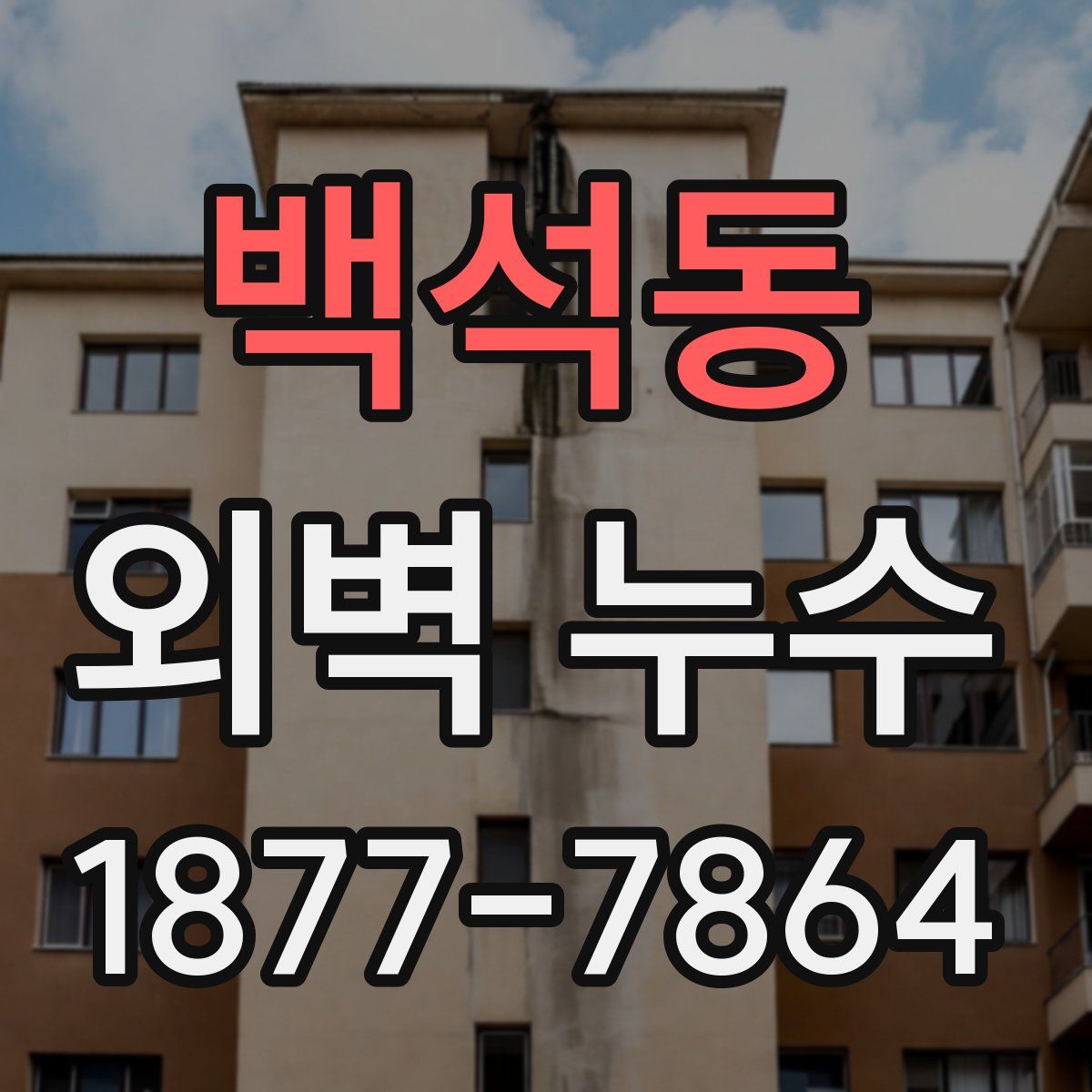 백석동 외벽 누수