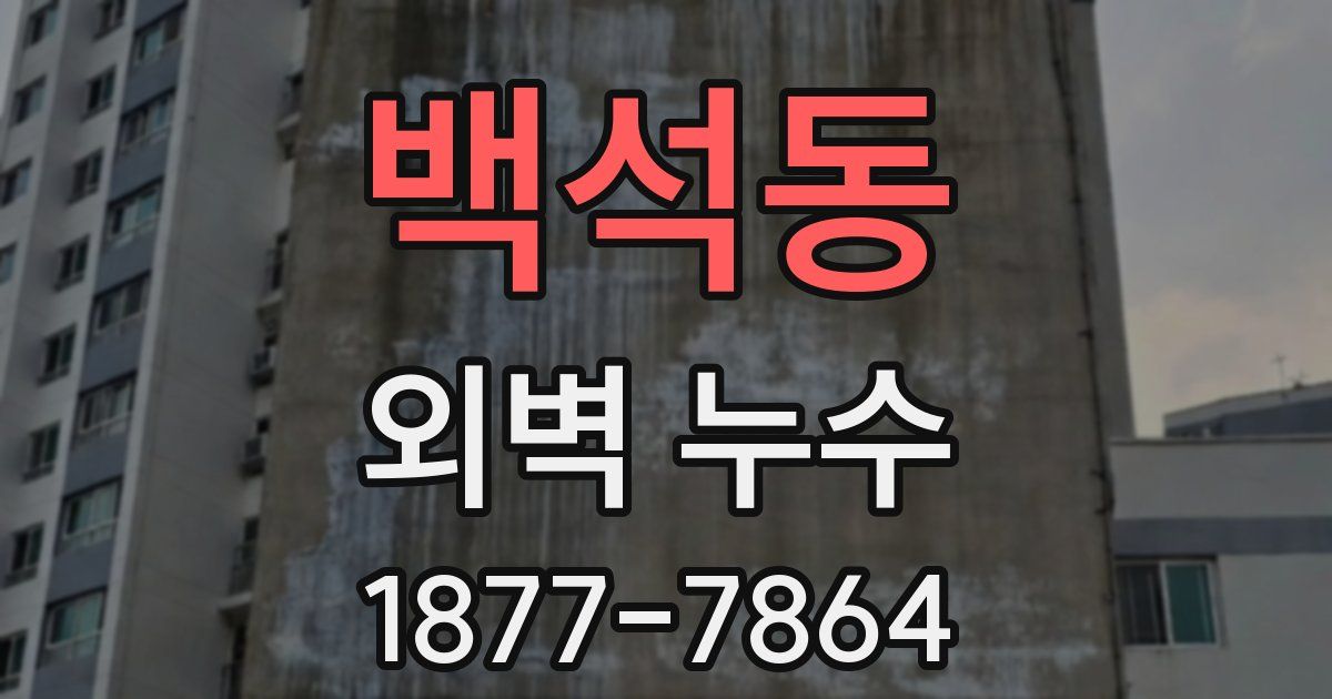 백석동 외벽 누수