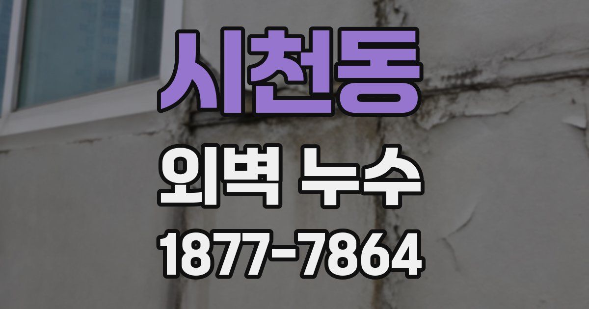 시천동 외벽 누수