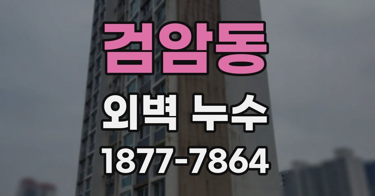 검암동 외벽 누수
