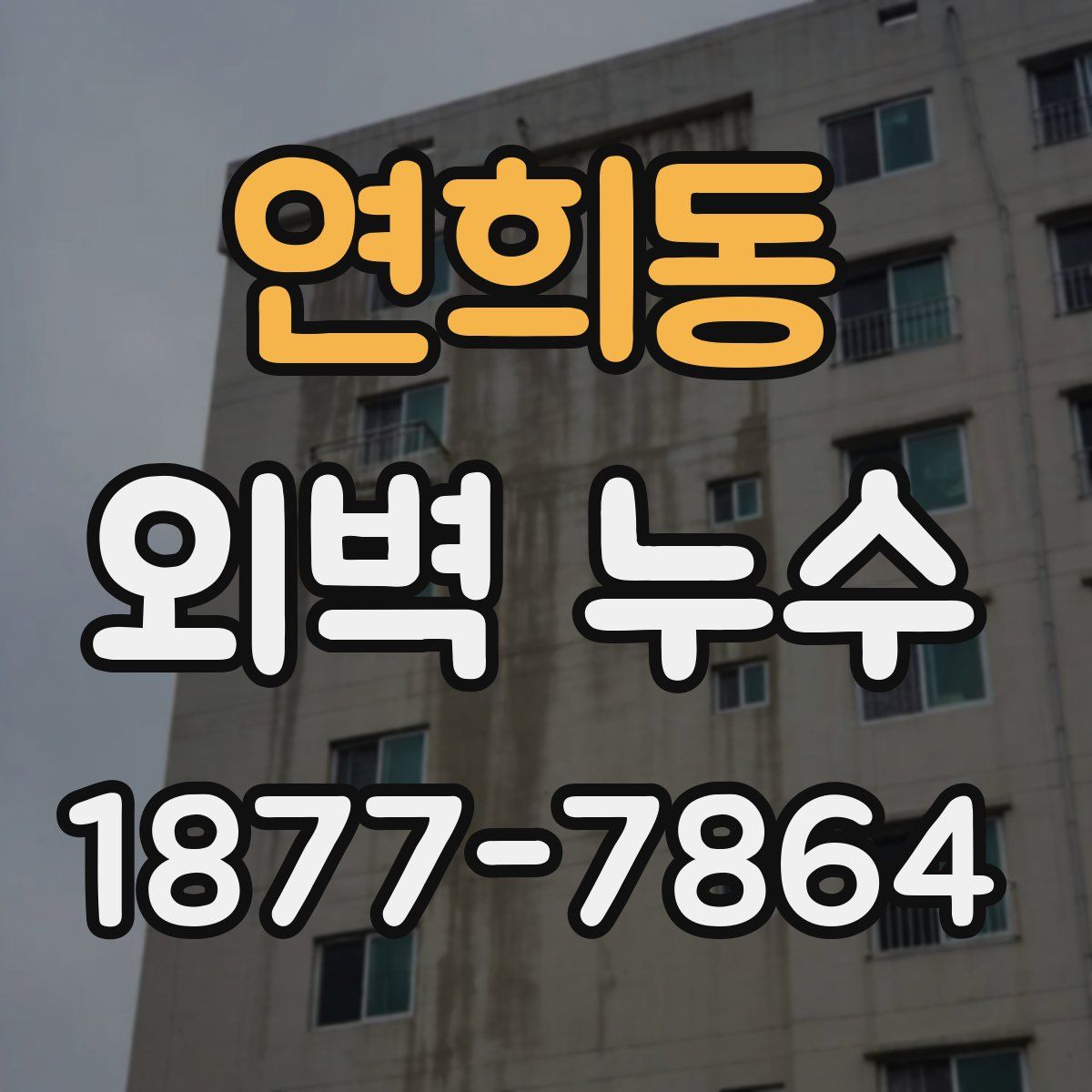 연희동 외벽 누수