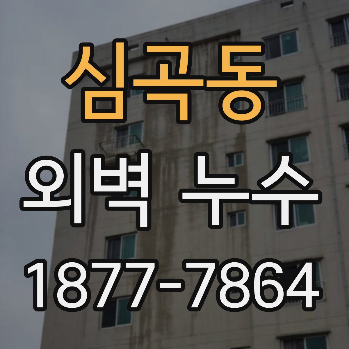 심곡동 외벽 누수
