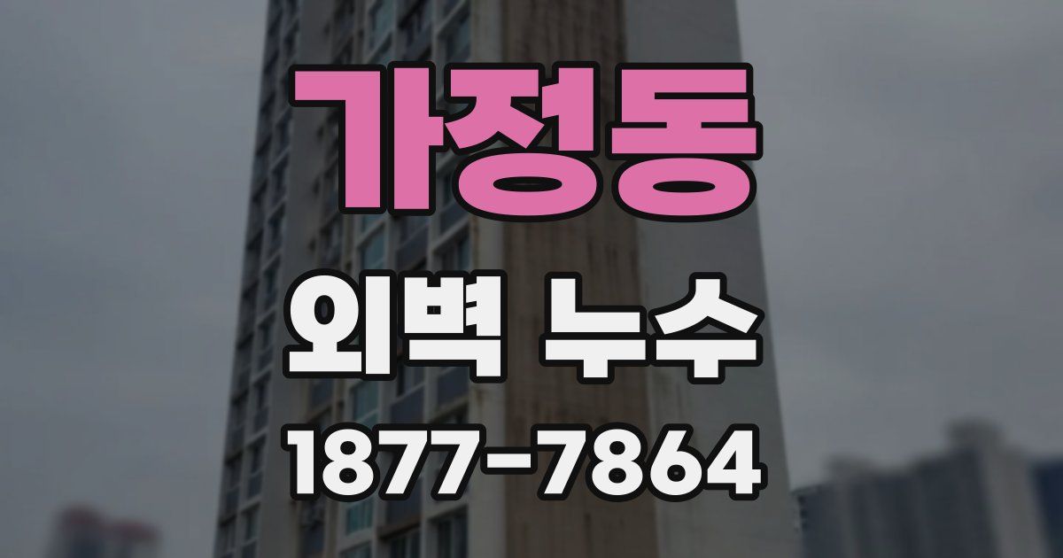 가정동 외벽 누수