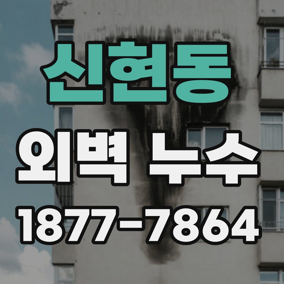 신현동 외벽 누수