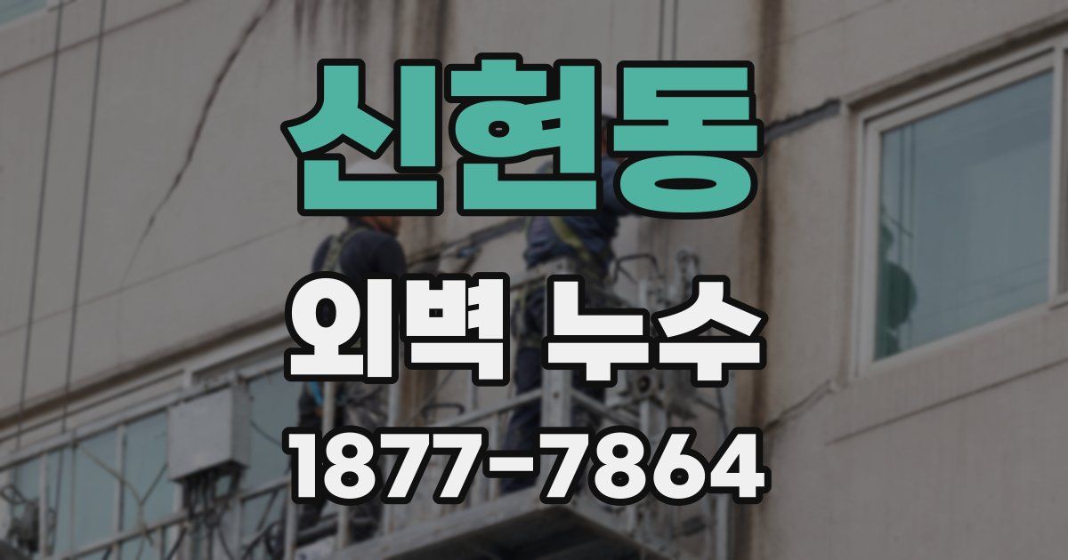 신현동 외벽 누수