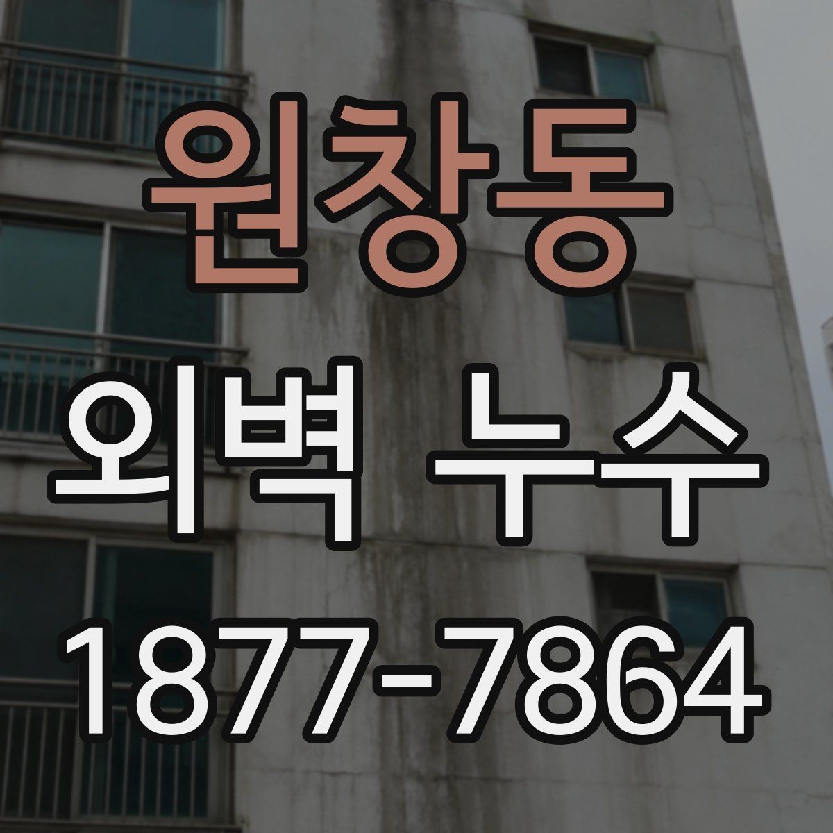 원창동 외벽 누수 진단 후 보수까지의 흐름