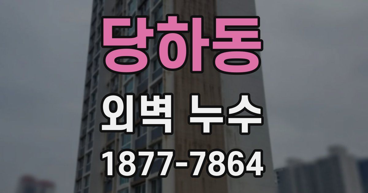 당하동 외벽 누수