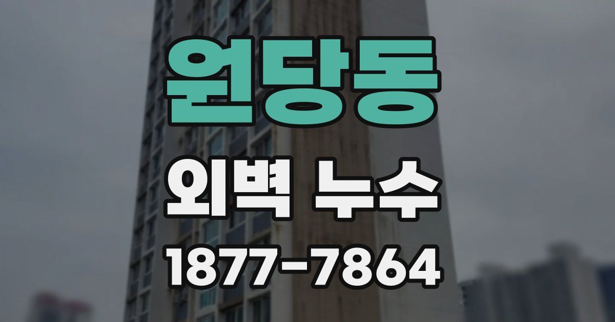 원당동 외벽 누수