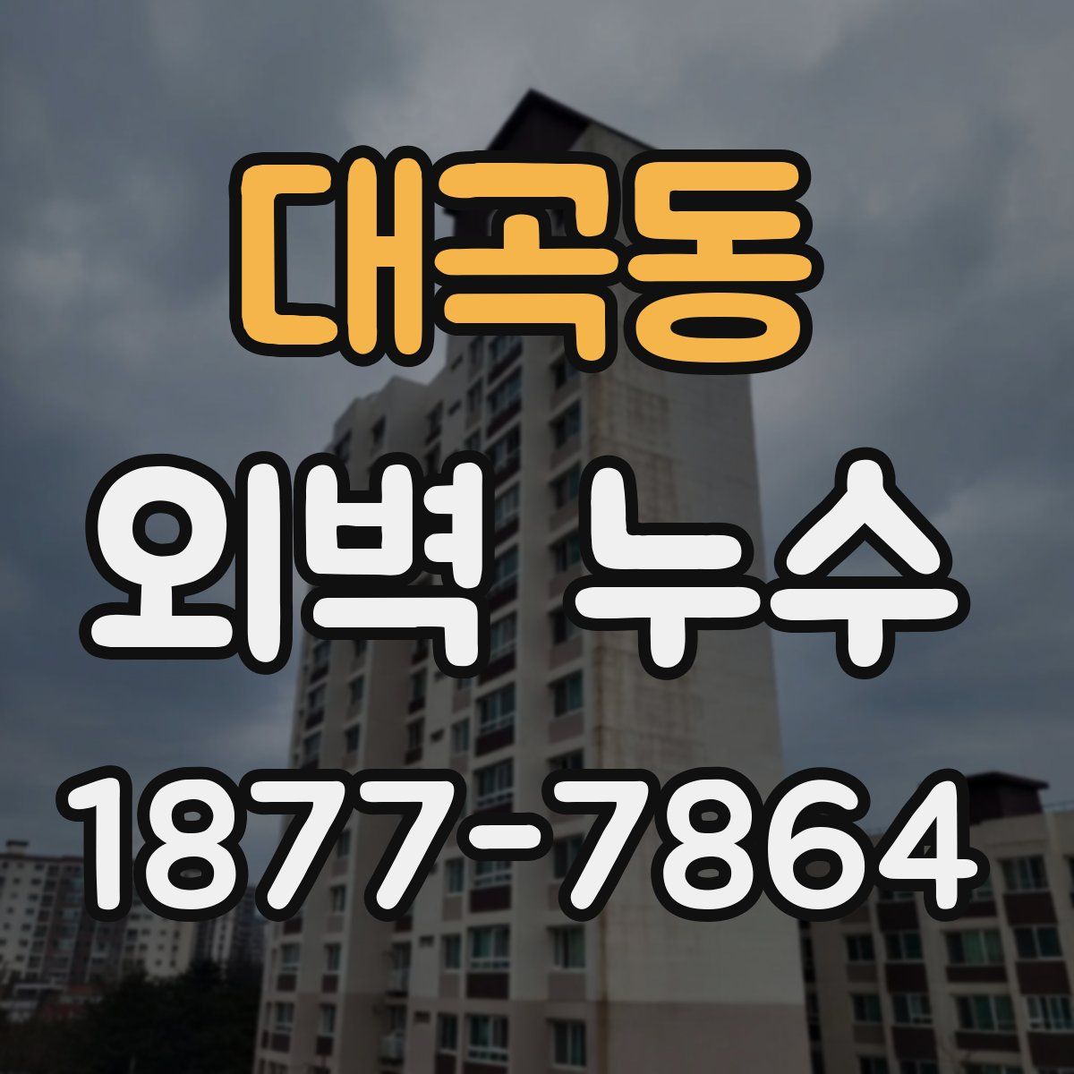 대곡동 외벽 누수