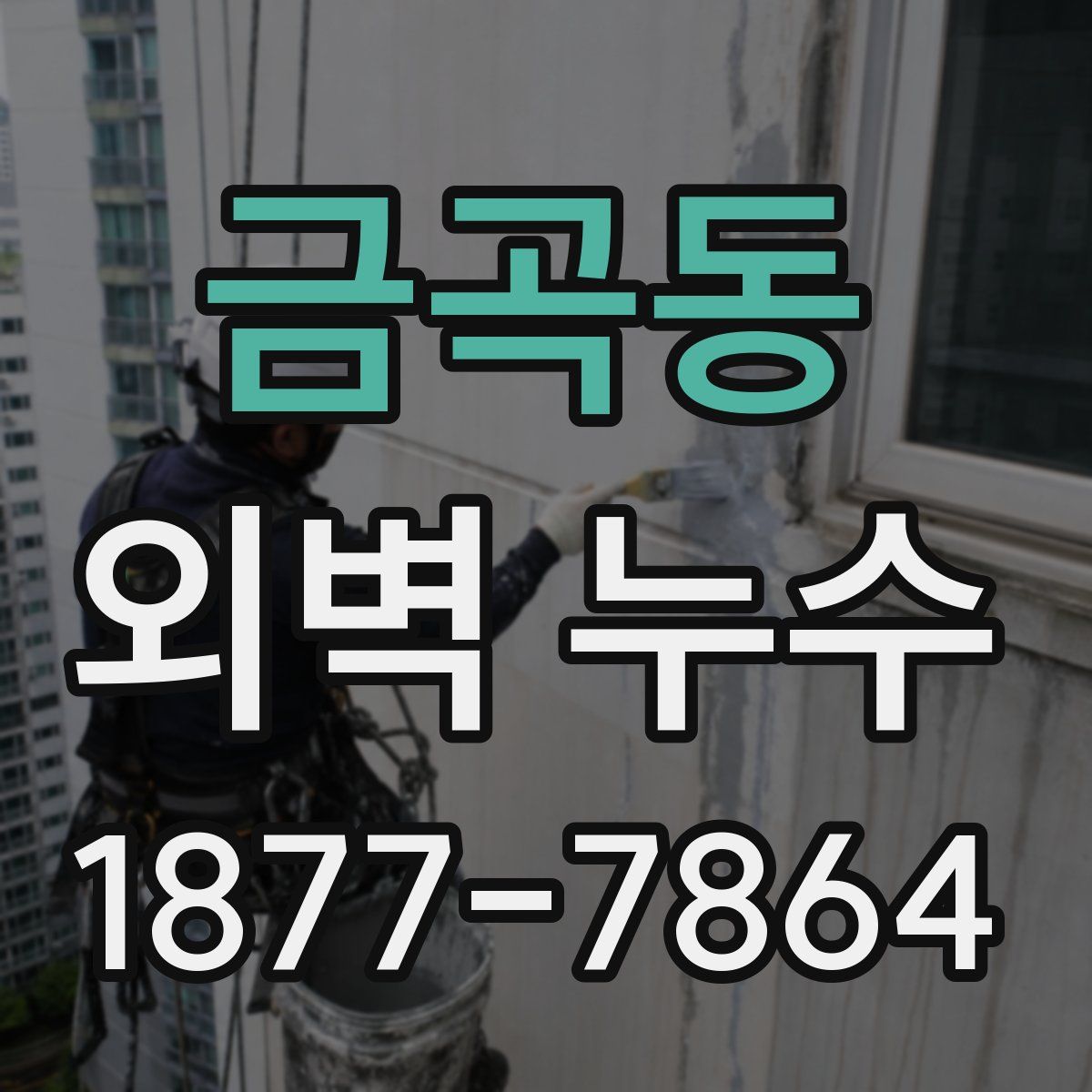 금곡동 외벽 누수