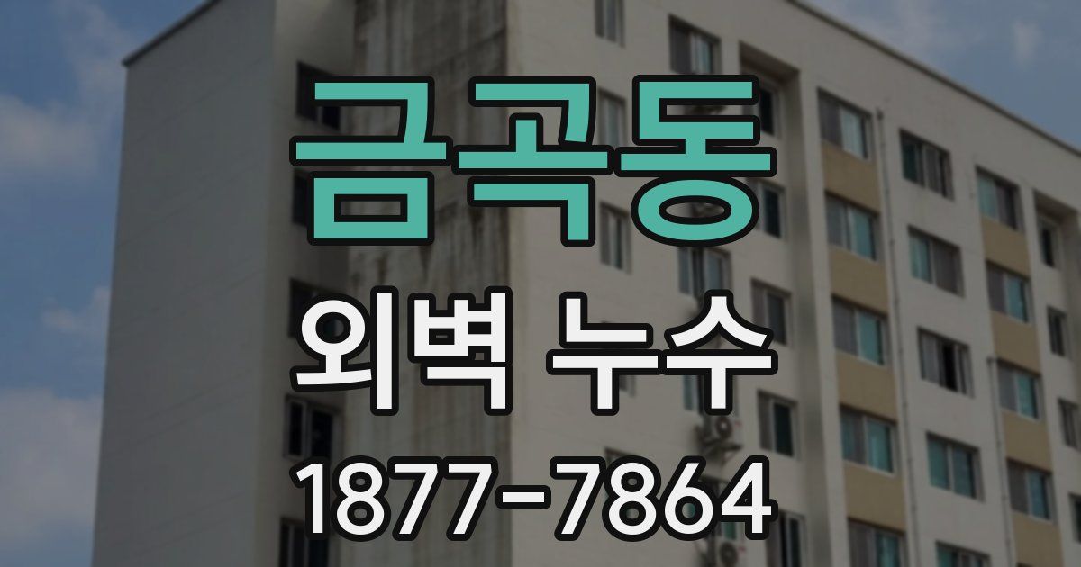 금곡동 외벽 누수