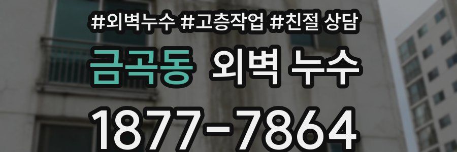 금곡동 외벽 누수