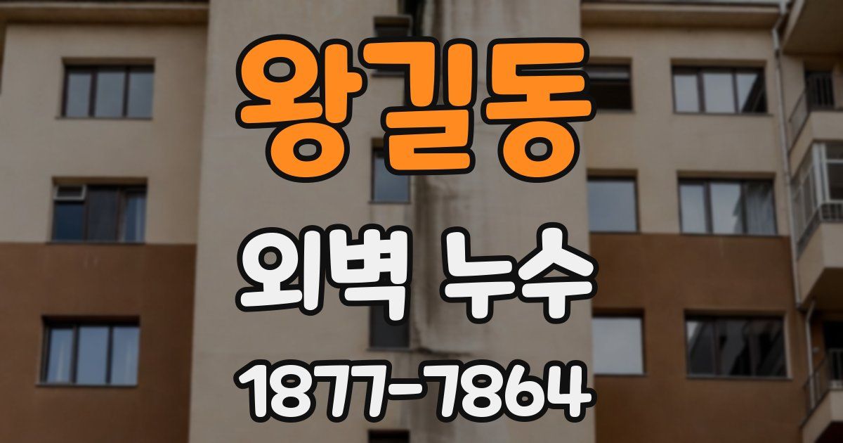 왕길동 외벽 누수