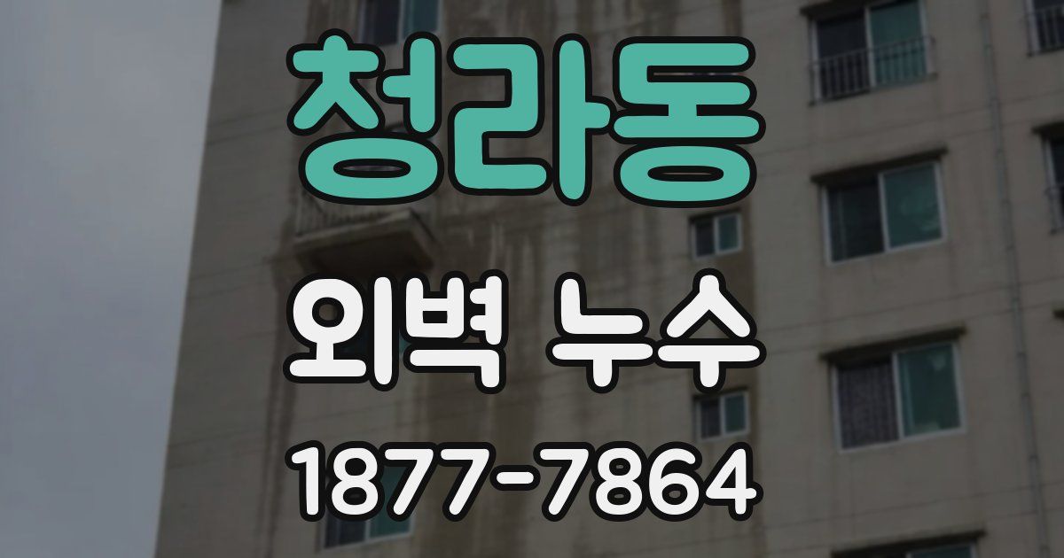 청라동 외벽 누수