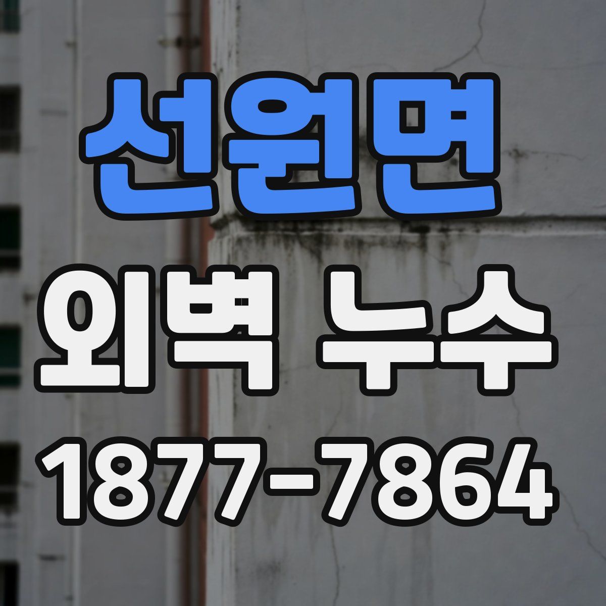 선원면 외벽 누수