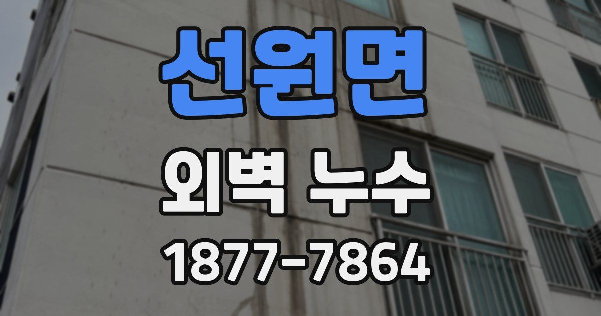 선원면 외벽 누수