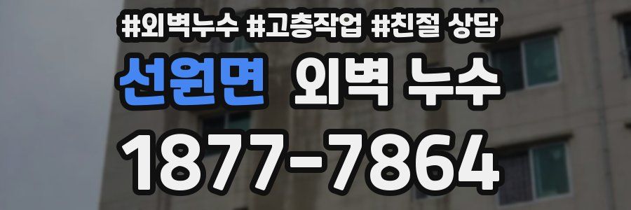 선원면 외벽 누수