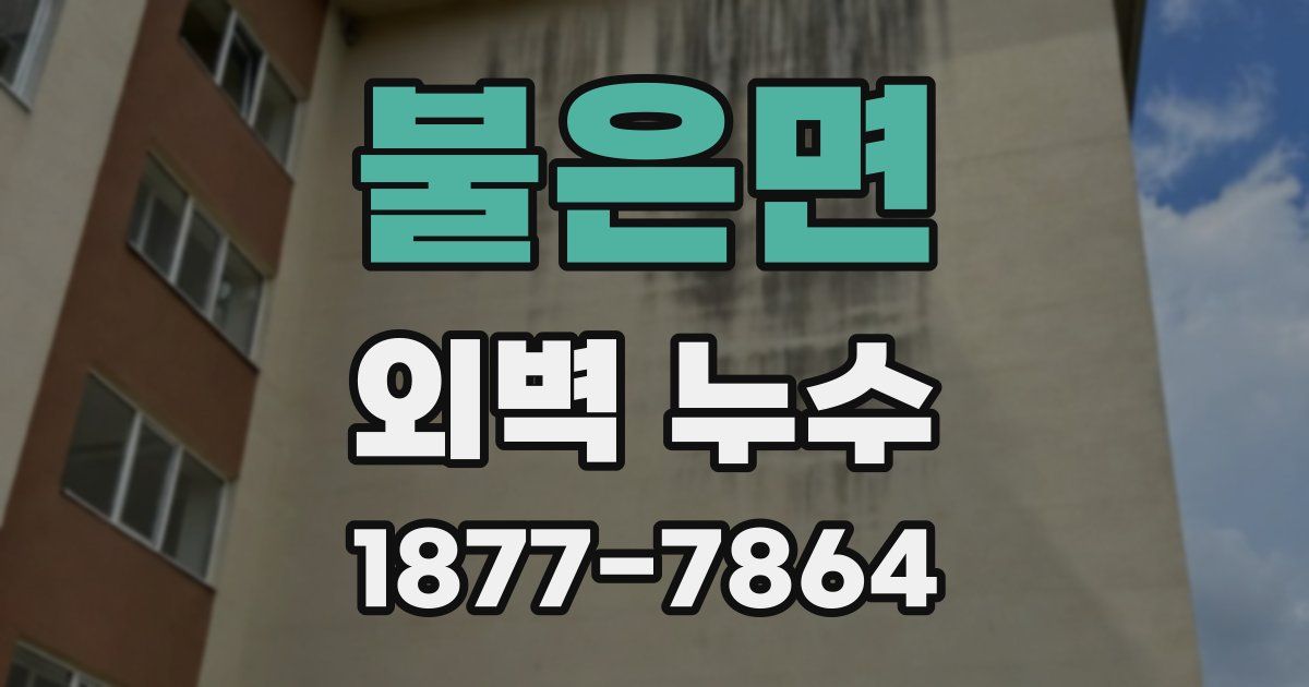 불은면 외벽 누수