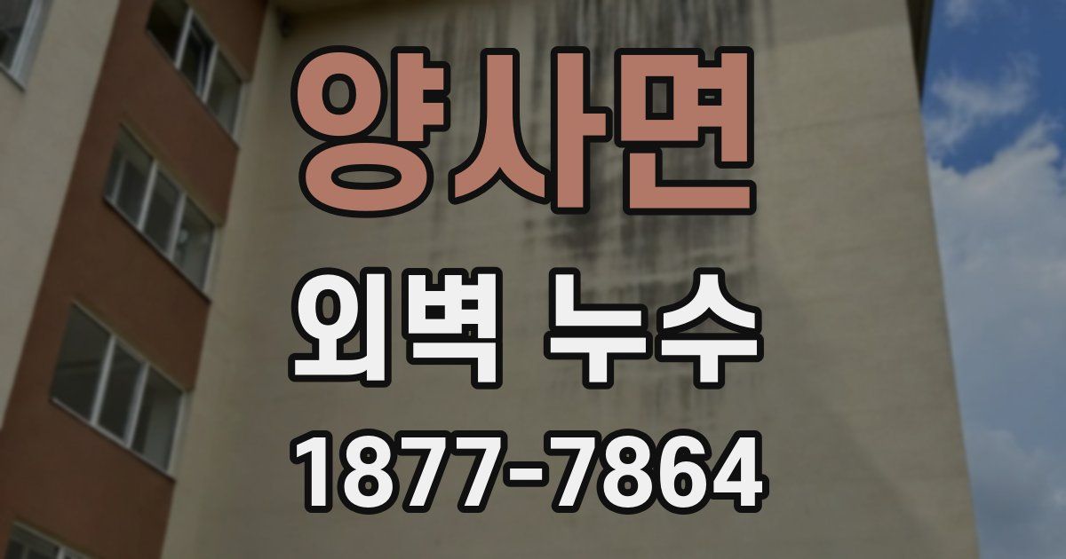 양사면 외벽 누수