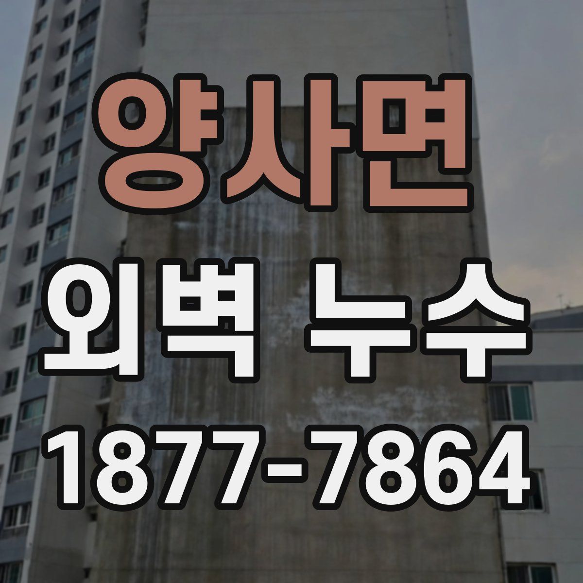 양사면 외벽 누수