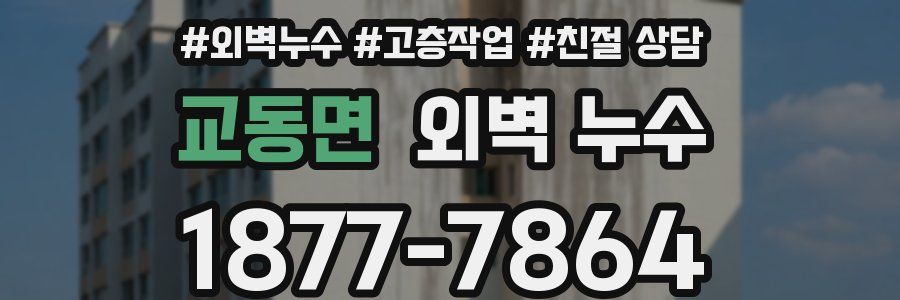 교동면 외벽 누수