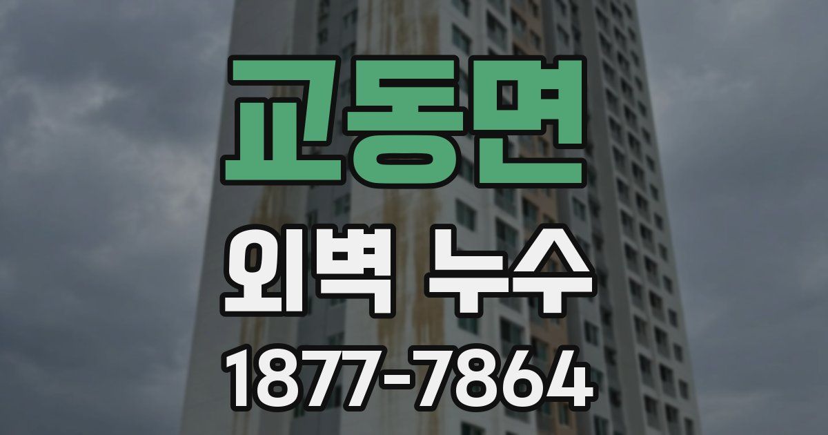교동면 외벽 누수