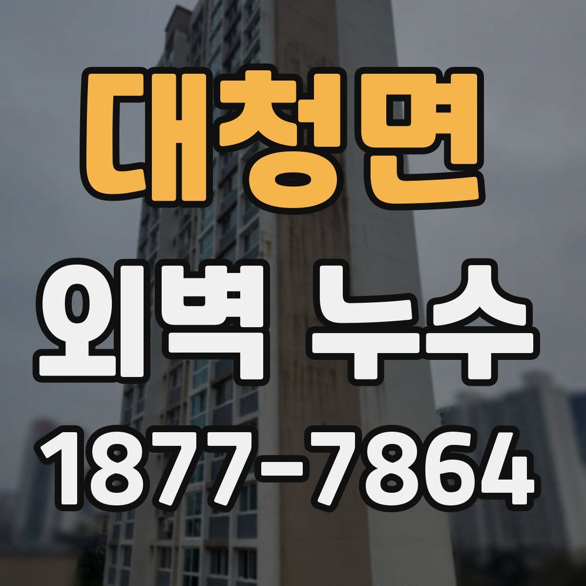 대청면 외벽 누수