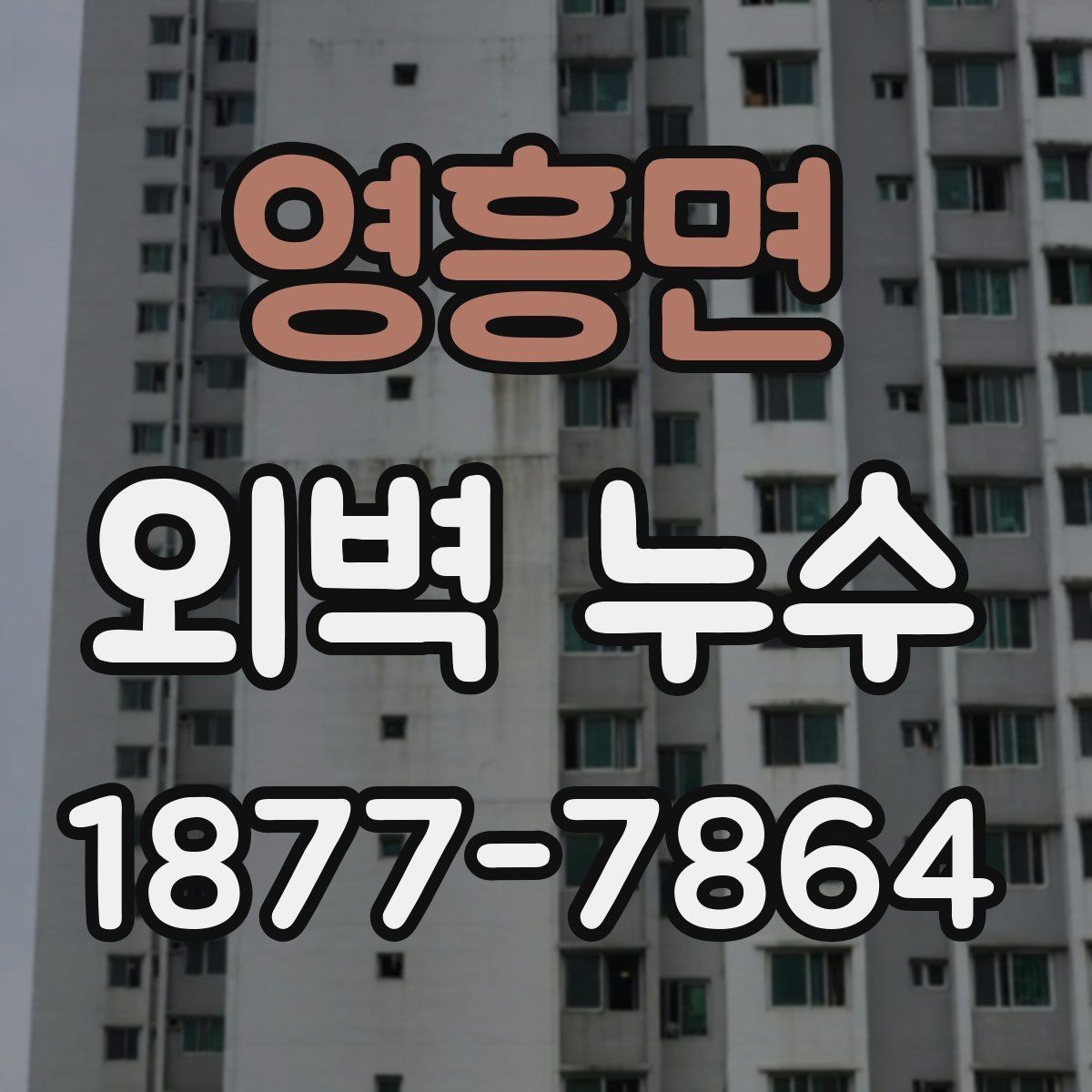 영흥면 외벽 누수 확인이 늦어지는 이유