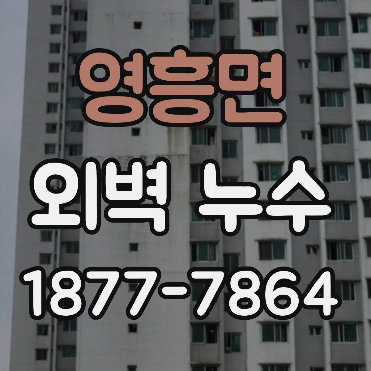 영흥면 외벽 누수
