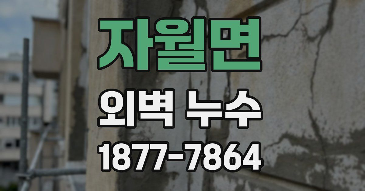 자월면 외벽 누수
