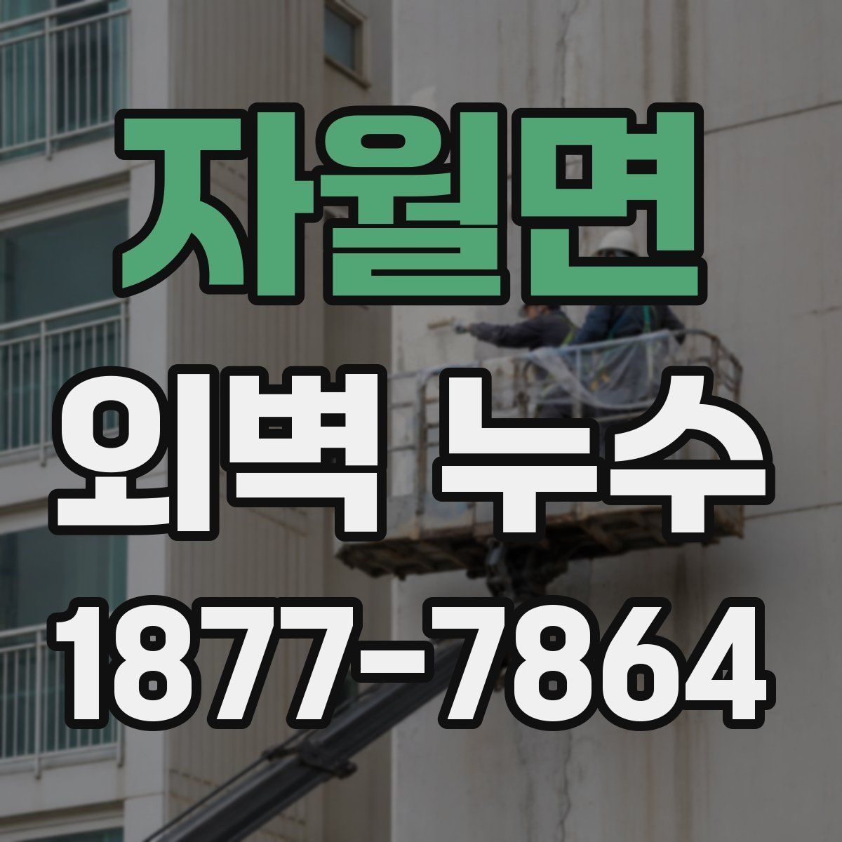 자월면 외벽 누수