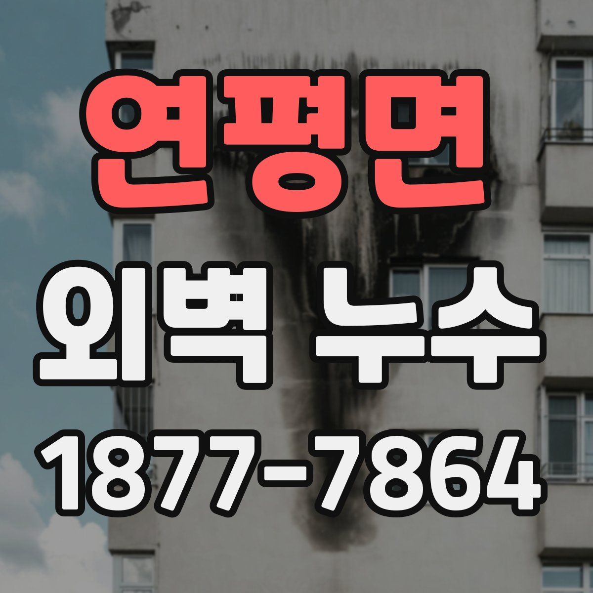 연평면 외벽 누수