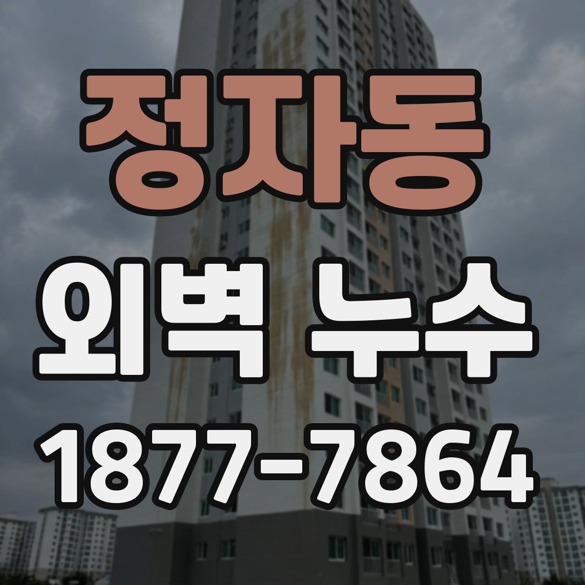 정자동 외벽 누수