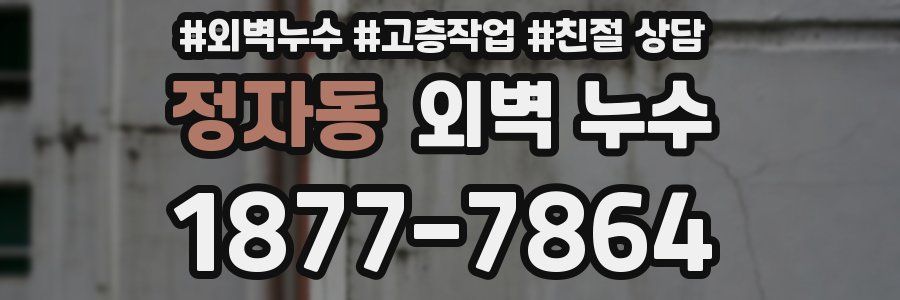 정자동 외벽 누수